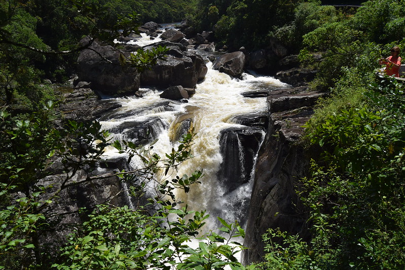 Ranomafana Madagascar